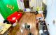 thum-m_7uxJpMwN14_1689753633.jpg