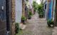 thum-m_OhxFTCP92L_1689858245.jpg