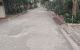 thum-9072130_gD9i3BKESL_1689901227.jpg