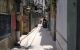 thum-9072331_SRXwqThBJp_1689952262.png