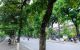 thum-m_gHZENql4CM_1690116873.jpg