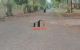 thum-m_pjWMo5Dq9N_1690164585.jpg
