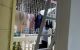 thum-9072868_gYNbjXTfq2_1690249203.jpg