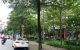 thum-9073266_lRXF2h0cC5_1690357250.jpg