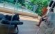 thum-9073294_5KkDnULXm9_1690361038.jpg