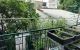 thum-9073393_E93qJQZfXB_1690417309.jpeg