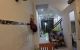 thum-9073455_HuDQk30FLZ_1690430283.jpg