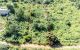 thum-9073697_5pl3XLzVoR_1690517851.jpg