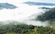thum-9073697_TotcdqI5nB_1690517844.jpg