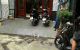 thum-9073734_d4B5nko2eT_1690526889.jpg