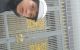 thum-m_C2gxmnY6Vz_1690723914.jpg