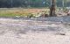 thum-m_mwDtUr1lx4_1690813256.jpg