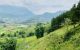 thum-9074407_Mxo0L68qCz_1690857536.jpg