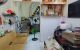 thum-9074855_LIiUf9xXQ8_1690990500.jpg