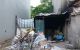 thum-m_aFkdm3pYND_1690969769.jpg