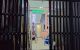 thum-9074983_9NdZeHTGbq_1691039556.jpg