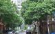 thum-m_7hGP5C8qHg_1691049783.jpg
