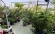thum-9075283_H2bunTlOkz_1691139498.jpeg
