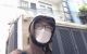 thum-m_57p1z2EYvD_1691312197.jpg