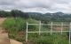 thum-m_g7Wcm3qSo0_1691383522.jpg