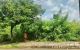 thum-9076033_opbYXLzEfS_1691470982.jpeg