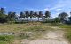 thum-9076106_XfuBPLd7Es_1691484354.jpg