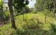 thum-m_JmGFl2wdNU_1691506594.jpg