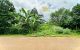 thum-9076313_5rq89TeuEM_1691565735.jpg