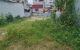 thum-m_TetI3kKmVo_1691553569.jpg