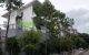 thum-m_r940UPC75i_1691556855.jpg