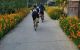 thum-9076490_tiwOTJHg0C_1691634791.jpg