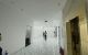 thum-9076616_rDhonQiPAM_1691653142.jpg