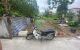thum-9076725_83kYhcKBLI_1691678206.jpg