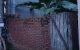 thum-9077300_B8p3YvE5S9_1691971367.jpg