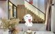 thum-9077380_Reb4D2NHM7_1691987296.jpg