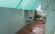 thum-9077573_ayKSOlb4jt_1692065874.jpg