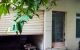 thum-9077729_IDnfNERPhH_1692092119.jpg