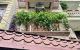 thum-m_B9EkUcLv4Q_1692089702.jpg