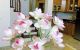 thum-m_GDkeUgsFq6_1692104230.jpg