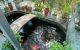 thum-9077934_RqJ8PA6so5_1692176077.jpg