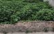 thum-m_wSygAu1nOC_1692174122.jpg