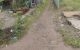 thum-9078113_4X7Wg5YJSH_1692252935.jpg