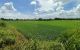 thum-m_ItZzqE7fmS_1692265379.jpg