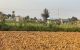 thum-9078761_07qLpUIOZ4_1692585877.jpg