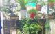 thum-9079391_WtX5Y4mpJG_1692775612.jpg