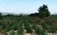 thum-9079408_ce0k3Yol69_1692777840.jpg