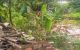 thum-m_dvxGyfm6Fb_1692779562.jpg