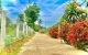 thum-m_Sd8rQFElaH_1692844634.jpg