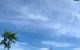 thum-9079866_7LaNeT56v1_1692930390.jpg