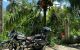 thum-9080087_jhaQfkdDMZ_1693018446.jpg